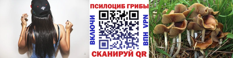 Купить закладки  Юрга  Галлюциногенные грибы Cubensis 