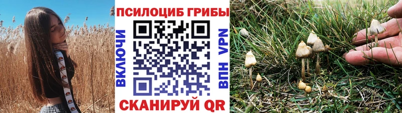 Галлюциногенные грибы Psilocybe Юрга